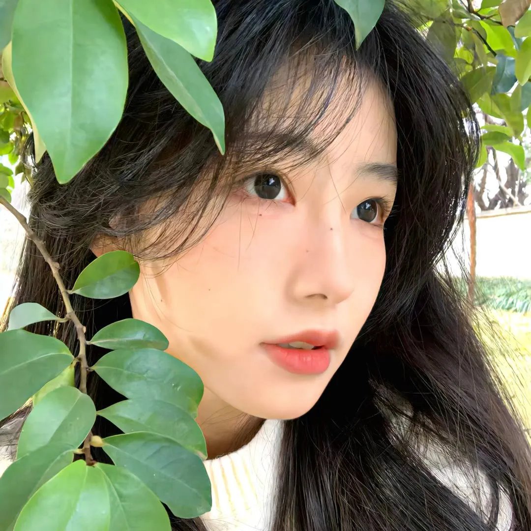 失落边境